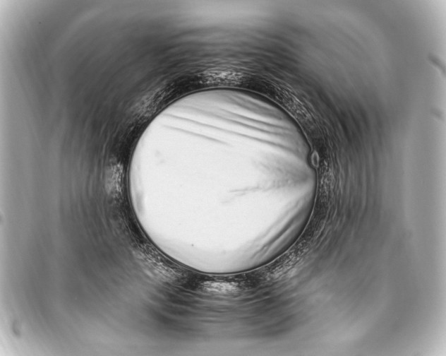 X0000096730649200802261454