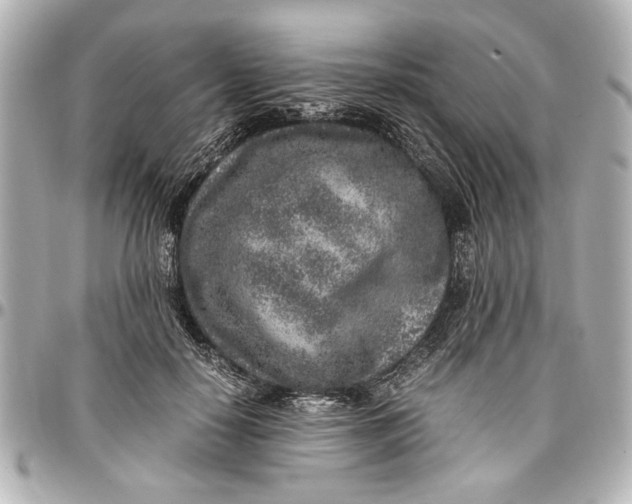 X0000096730650200802261454