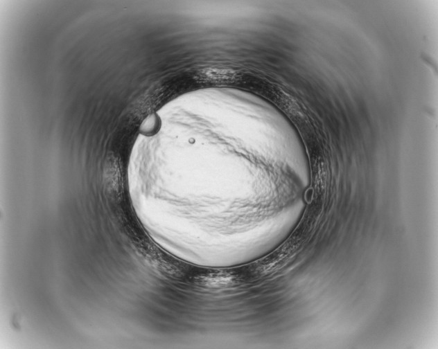 X0000096730651200802261454