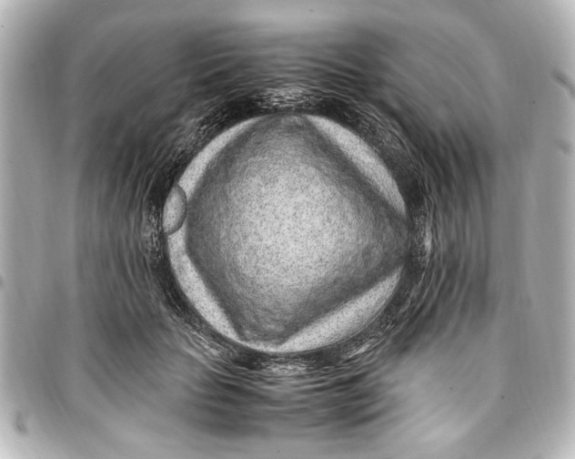 X0000096730653200802261454