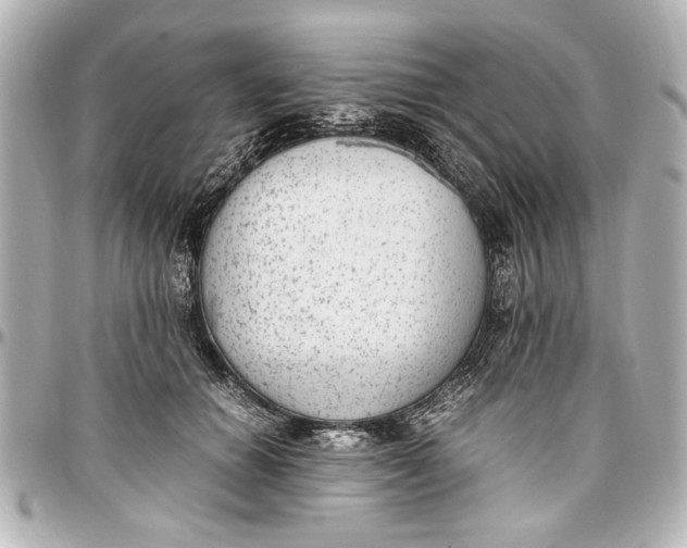 X0000096730654200802261454