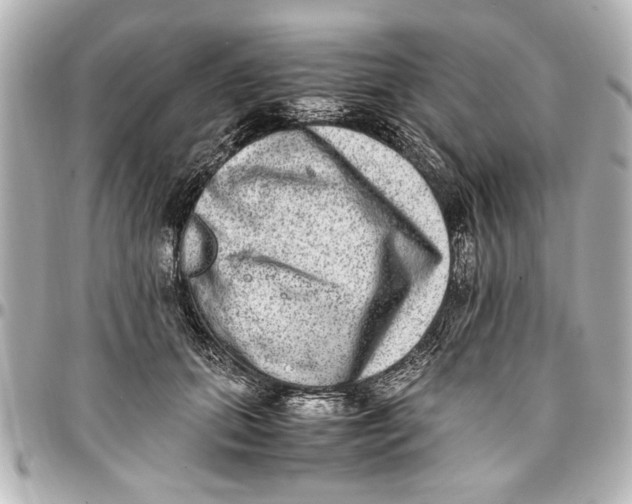 X0000096730655200802261454