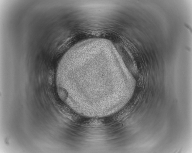X0000096730656200802261454