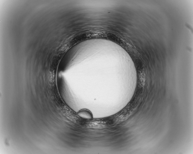 X0000096730657200802261454