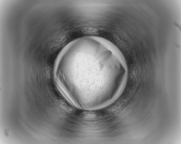 X0000096730658200802261454