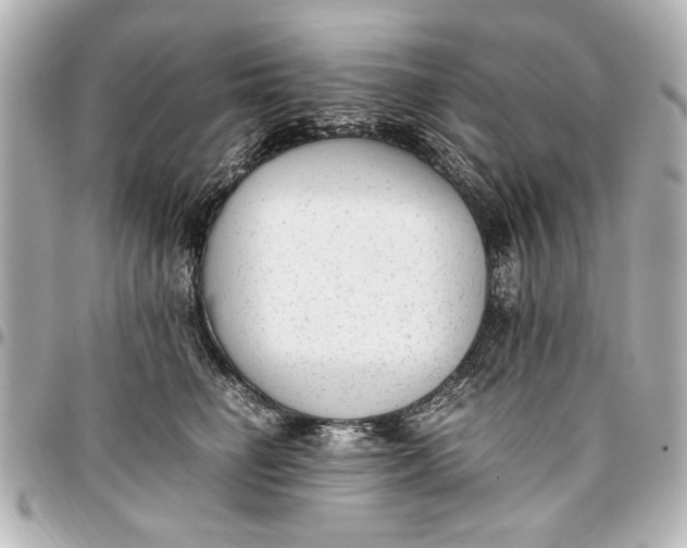 X0000096730662200802261454