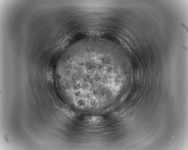 X0000096730663200802261454