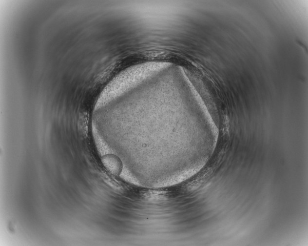 X0000096730664200802261454