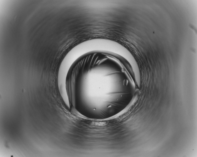 X0000096730665200802261454