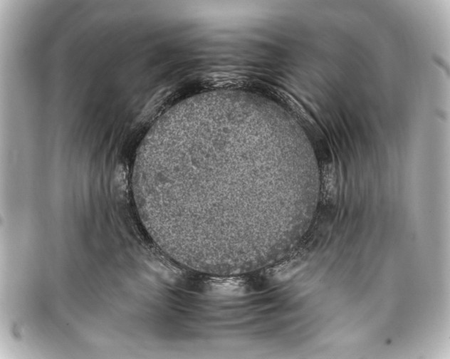 X0000096730667200802261454