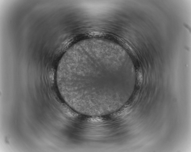 X0000096730668200802261454