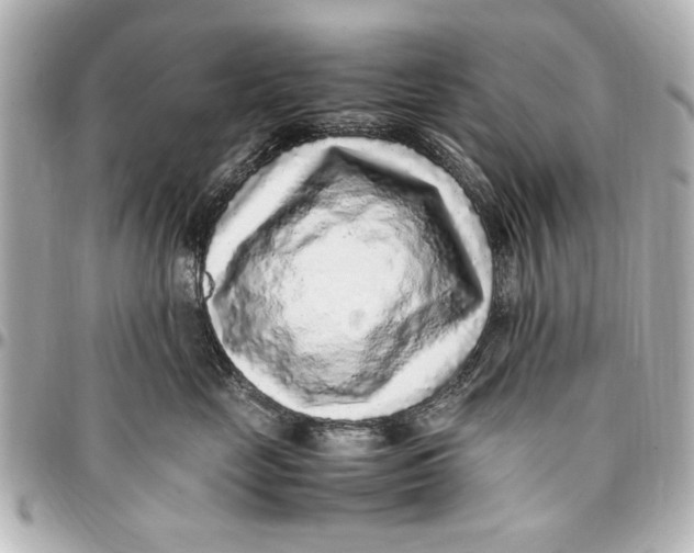 X0000096730669200802261454