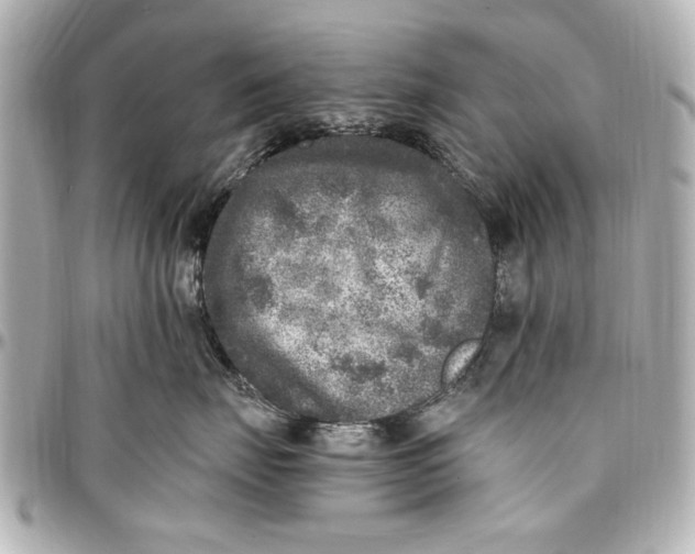 X0000096730671200802261454