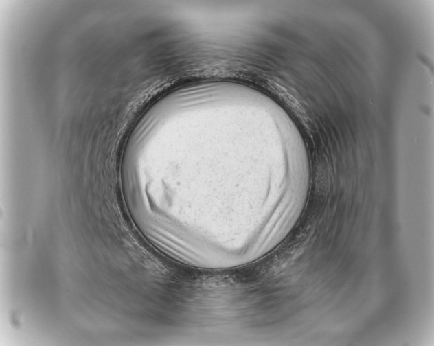X0000096730673200802261454