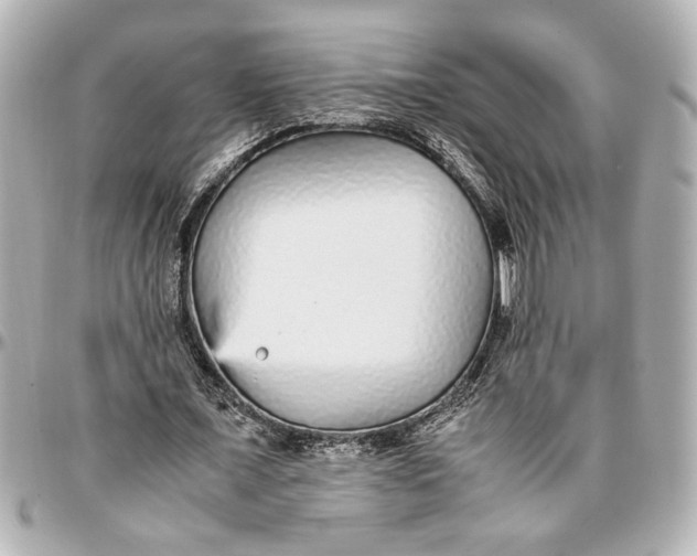 X0000096730675200802261453