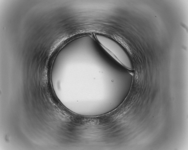 X0000096730676200802261453