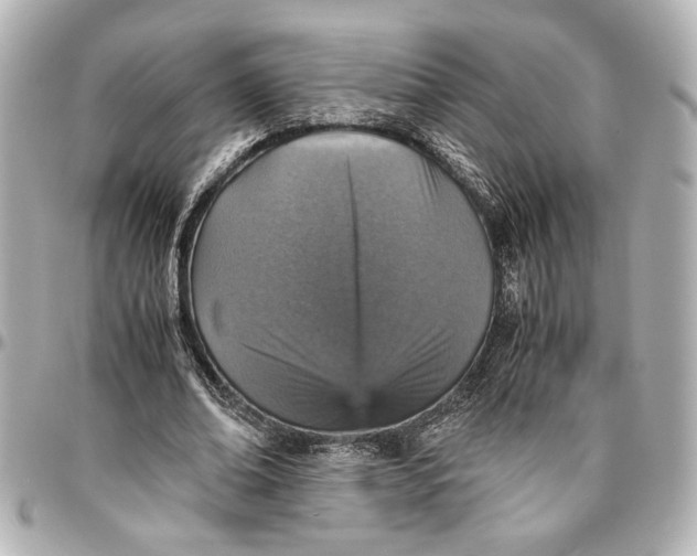 X0000096730678200802261453