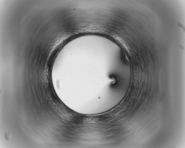 X0000096730680200802261453