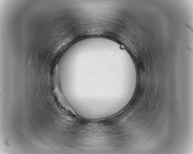 X0000096730681200802261453