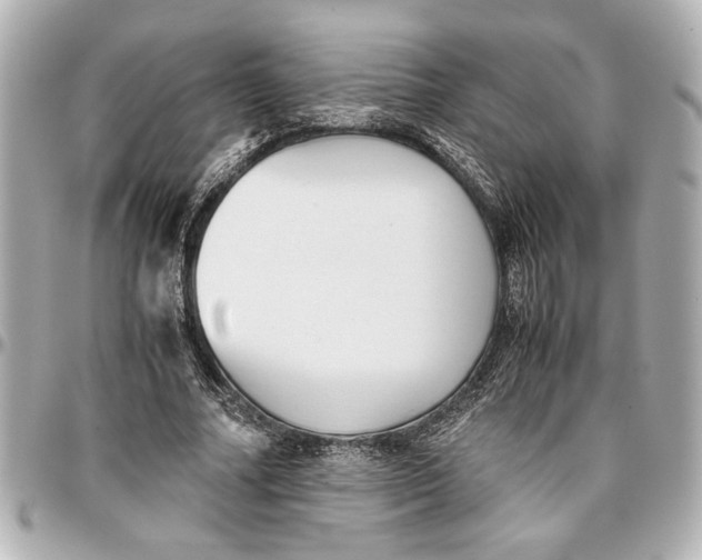 X0000096730682200802261453