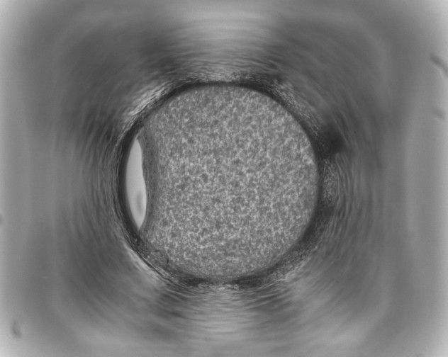X0000096730683200802261453