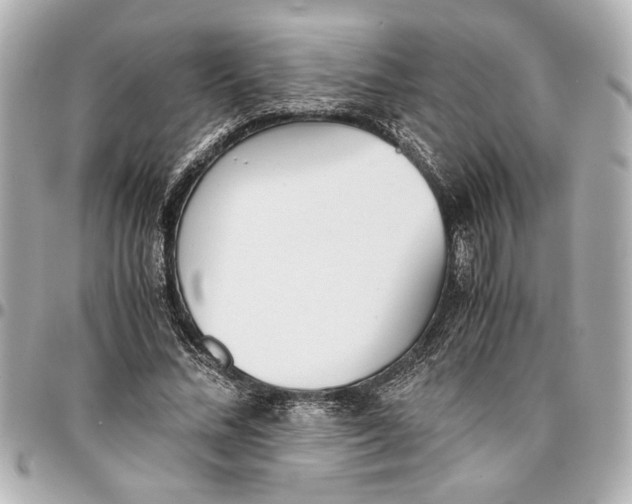 X0000096730684200802261453