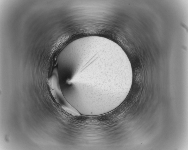 X0000096730685200802261453