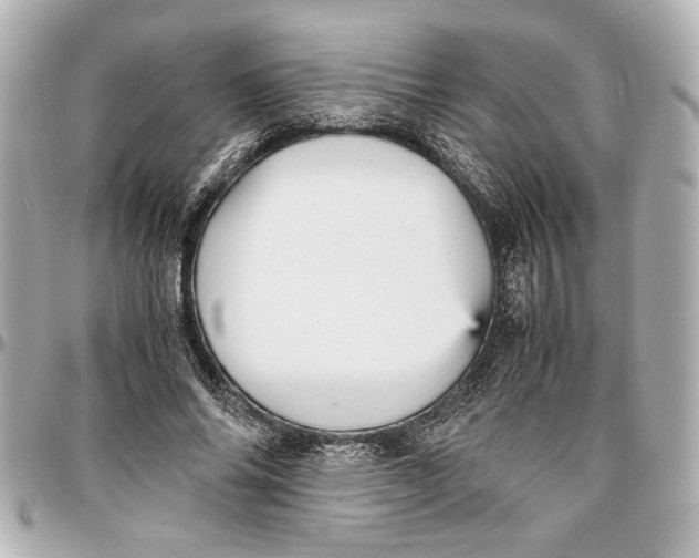 X0000096730686200802261453