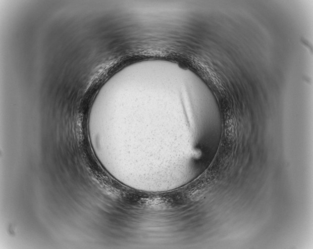 X0000096730688200802261453