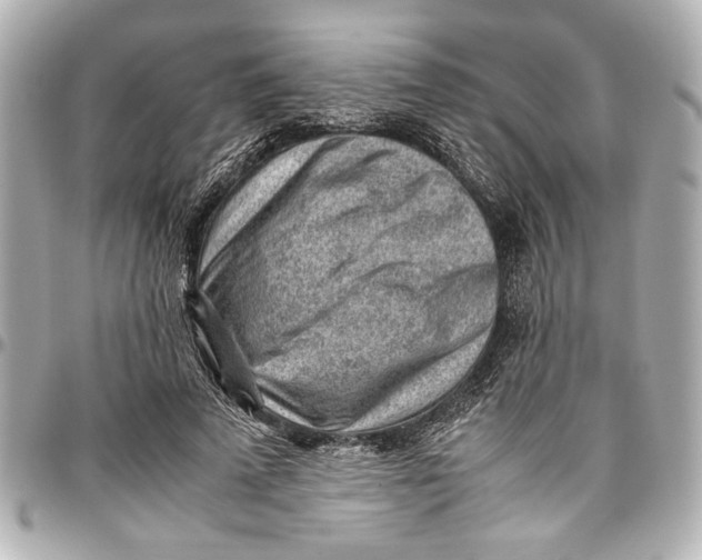 X0000096730689200802261453