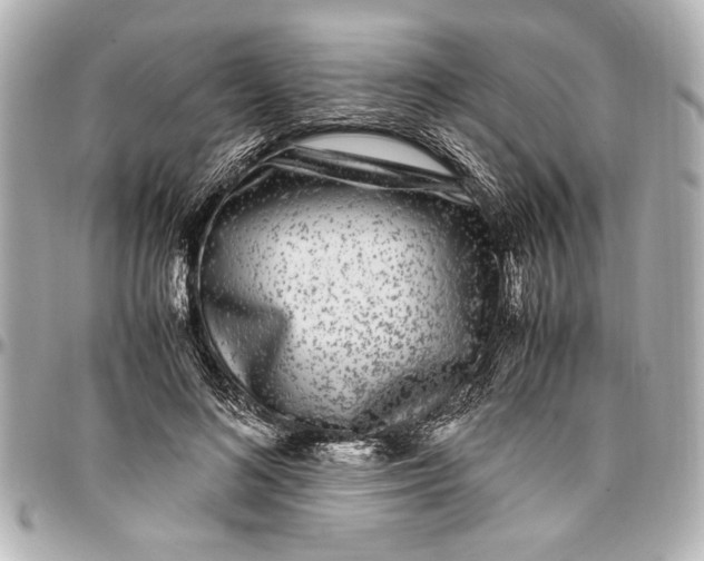 X0000096730692200802261453