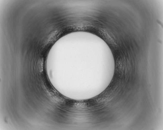 X0000096730694200802261453
