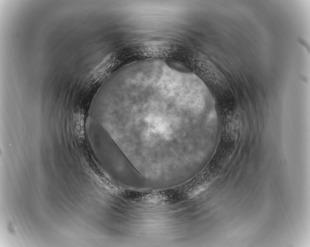 X0000096730696200802261453