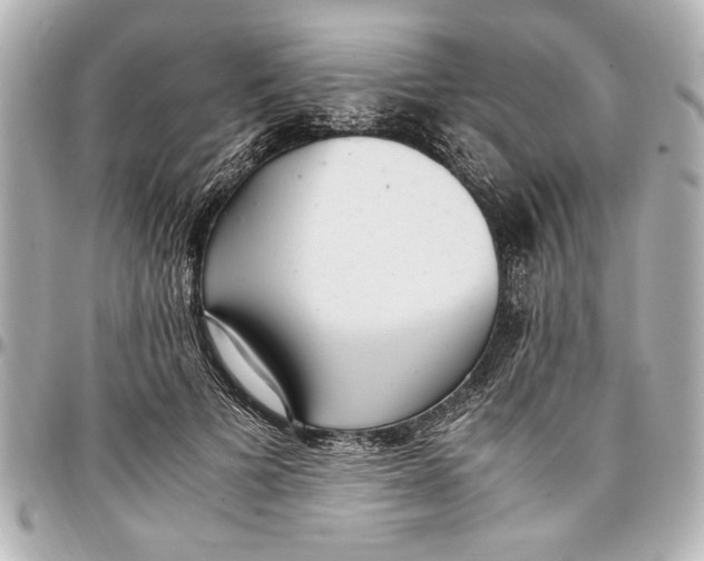 X0000096730697200802261453