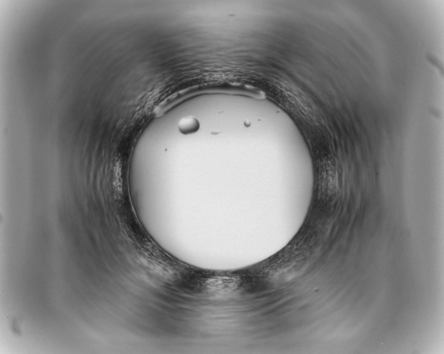 X0000096730700200802261453