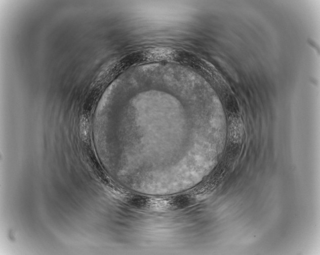 X0000096730701200802261453