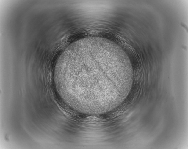 X0000096730703200802261453
