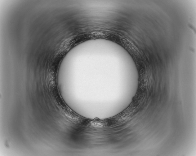 X0000096730706200802261453