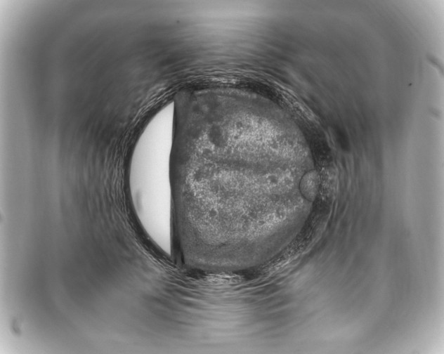 X0000096730707200802261453