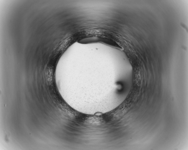 X0000096730708200802261453