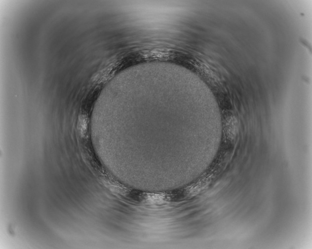 X0000096730709200802261453