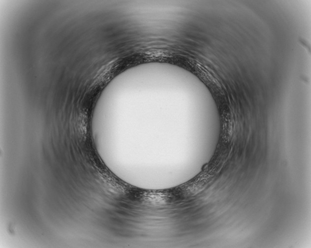 X0000096730710200802261453