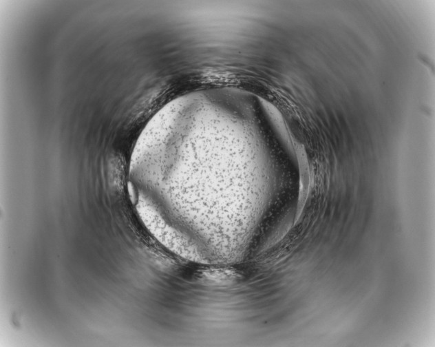 X0000096730712200802261453