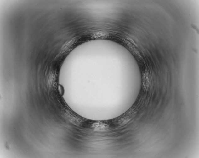 X0000096730714200802261453