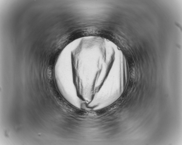 X0000096730715200802261453