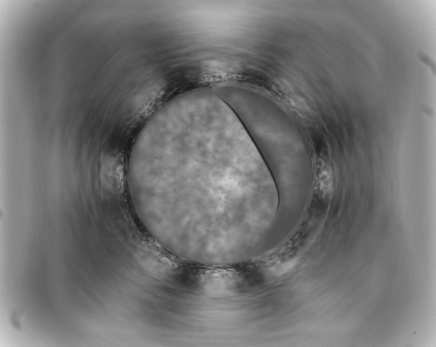X0000096730716200802261453