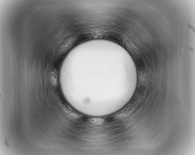 X0000096730719200802261453