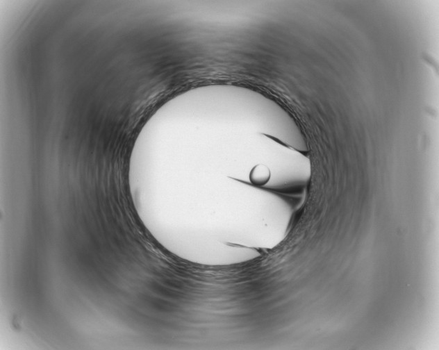 X0000096730720200802261453