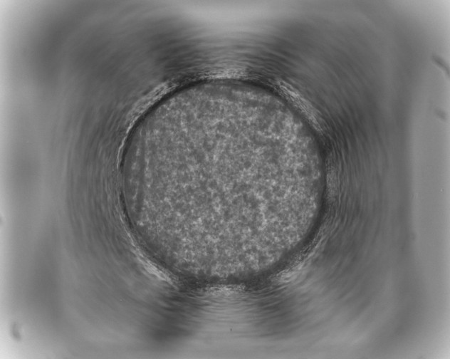 X0000096730721200802261452