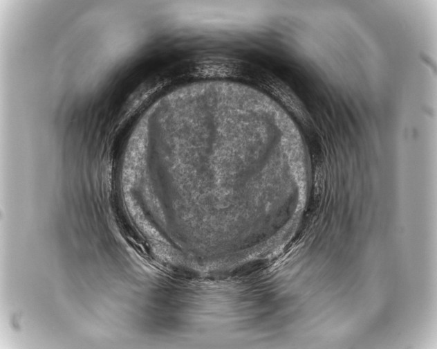 X0000096730722200802261452